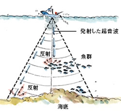 魚群探知機　原理　イメージ