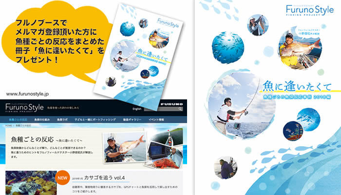 「魚に逢いたくて」ブックレットのイメージ
