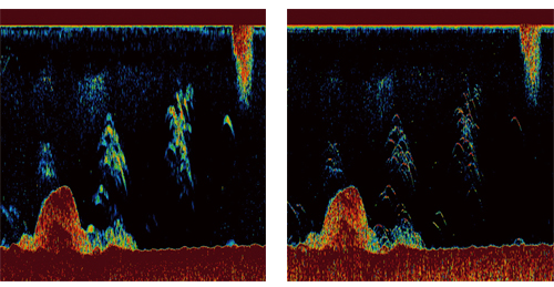 ▲RezBoost™ 魚探映像例の比較 イメージ