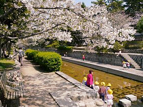 夙川河川敷緑地（夙川公園）のイメージ