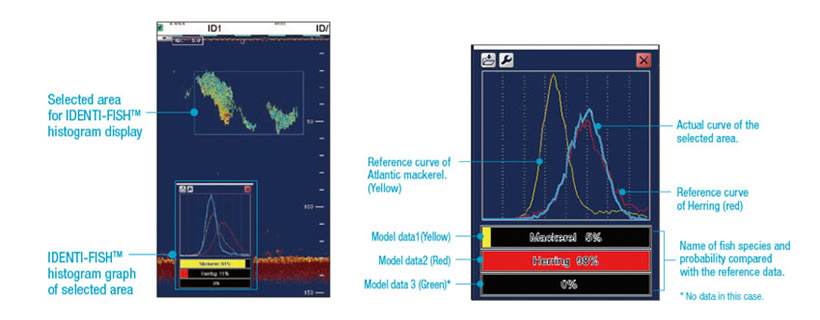 Image of model curves (on the right, the echo curve of detected fish indicates a Herring with a 98% probability)